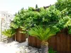 Guest house with SPA, FOR SALE in france, Perpignan - direct owner  (7).webp